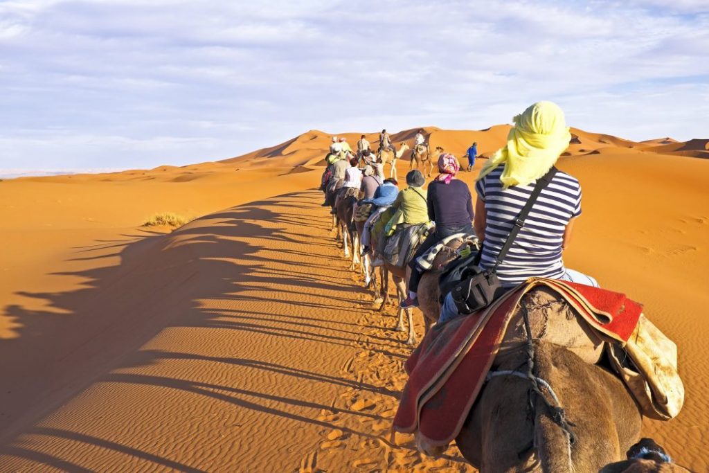 الأماكن السياحية الواجب زيارتها